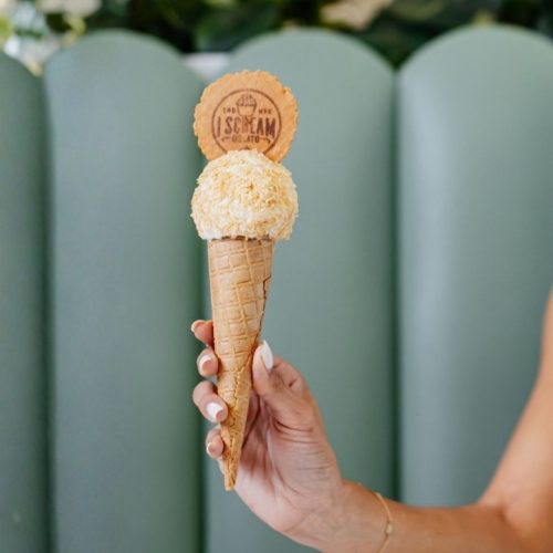 Vanilla_coconut_Gelato_cone (Canva-edited)